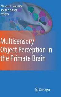bokomslag Multisensory Object Perception in the Primate Brain