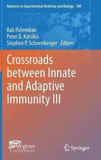 bokomslag Crossroads between Innate and Adaptive Immunity III