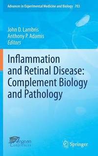 bokomslag Inflammation and Retinal Disease: Complement Biology and Pathology