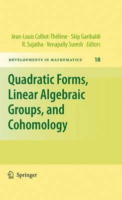 bokomslag Quadratic Forms, Linear Algebraic Groups, and Cohomology