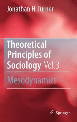 Jonathan H. Turner - Theoretical Principles of Sociology, Volume 3, Inbunden