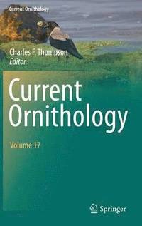 bokomslag Current Ornithology Volume 17