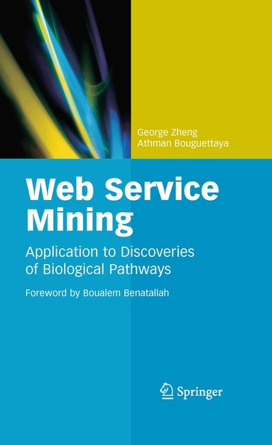 George Zheng, Athman Bouguettaya - Web Service Mining, Inbunden