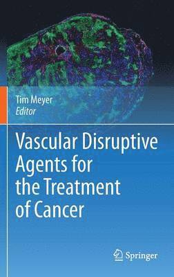 bokomslag Vascular Disruptive Agents for the Treatment of Cancer