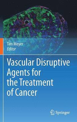 Vascular Disruptive Agents for the Treatment of Cancer 1