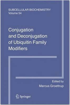 bokomslag Conjugation and Deconjugation of Ubiquitin Family Modifiers