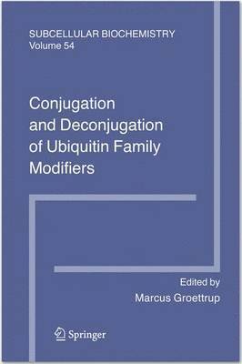 Conjugation and Deconjugation of Ubiquitin Family Modifiers