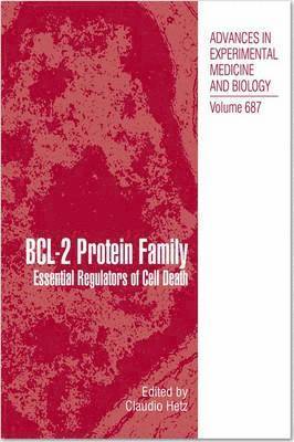 BCL-2 Protein Family 1