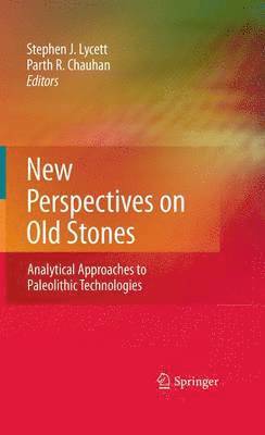 bokomslag New Perspectives on Old Stones