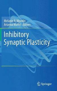 bokomslag Inhibitory Synaptic Plasticity