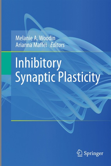 bokomslag Inhibitory Synaptic Plasticity