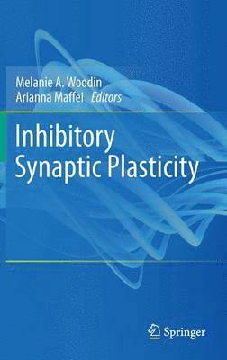 Inhibitory Synaptic Plasticity