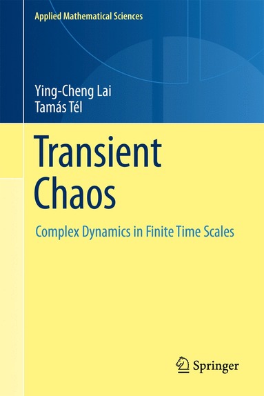 bokomslag Transient Chaos