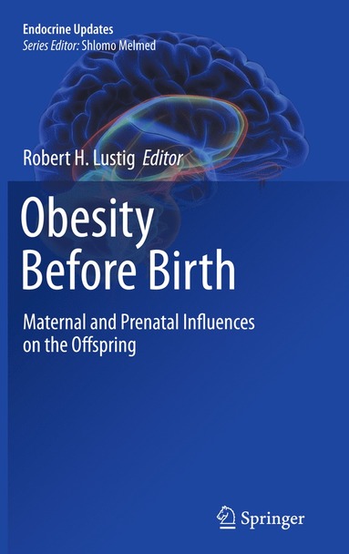 bokomslag Obesity Before Birth