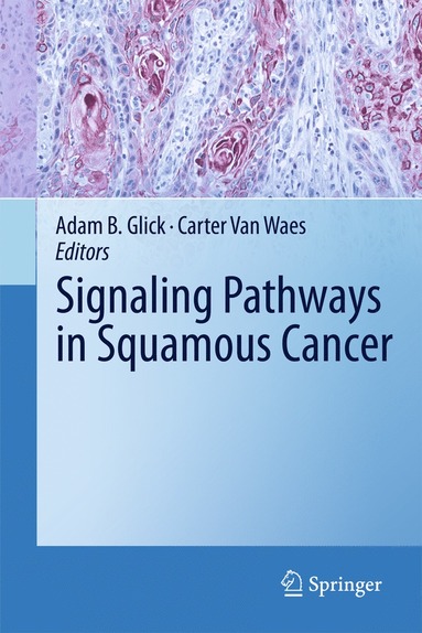 bokomslag Signaling Pathways in Squamous Cancer