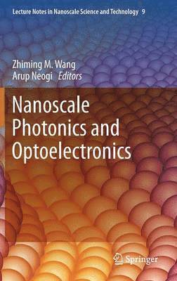 Nanoscale Photonics and Optoelectronics 1