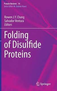 bokomslag Folding of Disulfide Proteins