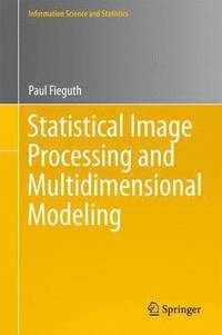 bokomslag Statistical Image Processing and Multidimensional Modeling