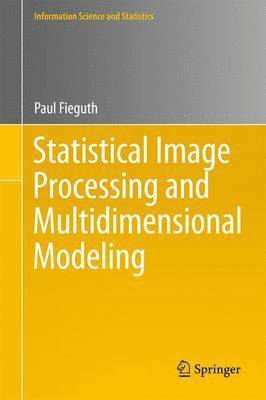 bokomslag Statistical Image Processing and Multidimensional Modeling