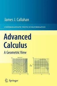 bokomslag Advanced Calculus