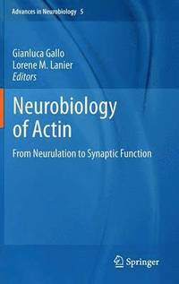 bokomslag Neurobiology of Actin