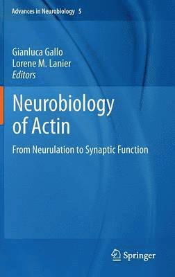 Neurobiology of Actin 1