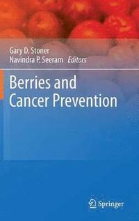 bokomslag Berries and Cancer Prevention