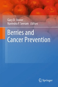 bokomslag Berries and Cancer Prevention