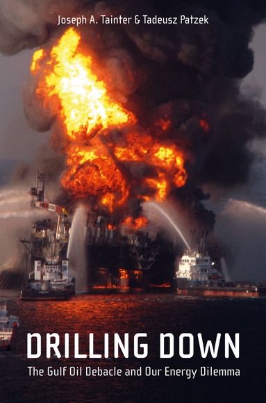 Joseph A. Tainter, Tadeusz W. Patzek - Drilling Down, Häftad