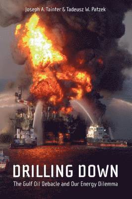 Joseph A. Tainter, Tadeusz W. Patzek - Drilling Down, Häftad