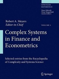 bokomslag Complex Systems in Finance and Econometrics