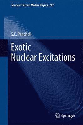bokomslag Exotic Nuclear Excitations