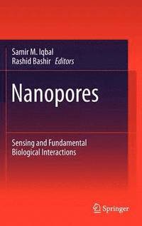 bokomslag Nanopores