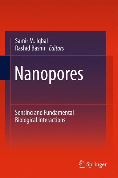 bokomslag Nanopores