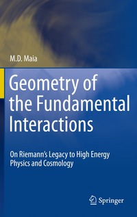 bokomslag Geometry of the Fundamental Interactions