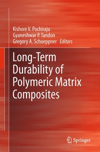 bokomslag Long-Term Durability of Polymeric Matrix Composites