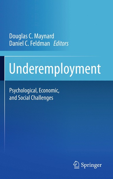 bokomslag Underemployment