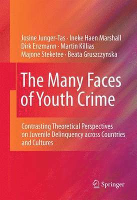 bokomslag The Many Faces of Youth Crime