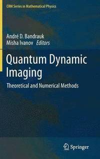 bokomslag Quantum Dynamic Imaging