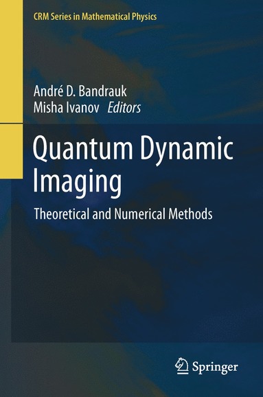 bokomslag Quantum Dynamic Imaging