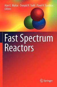 bokomslag Fast Spectrum Reactors