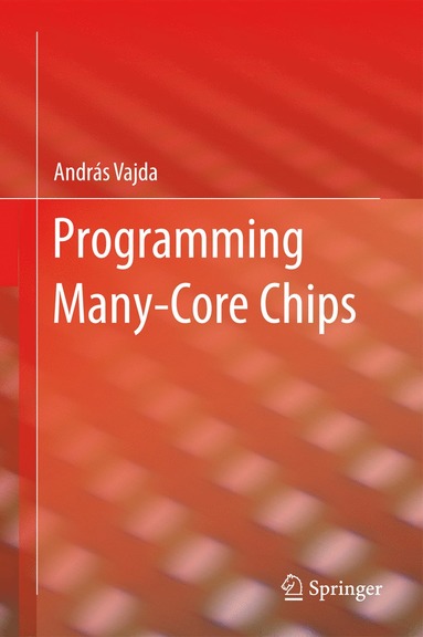 bokomslag Programming Many-Core Chips