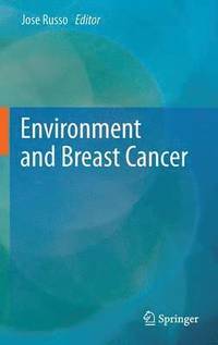 bokomslag Environment and Breast Cancer