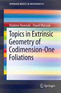 bokomslag Topics in Extrinsic Geometry of Codimension-One Foliations