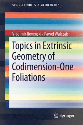 bokomslag Topics in Extrinsic Geometry of Codimension-One Foliations
