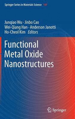 bokomslag Functional Metal Oxide Nanostructures
