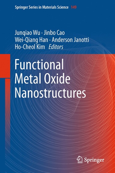 bokomslag Functional Metal Oxide Nanostructures