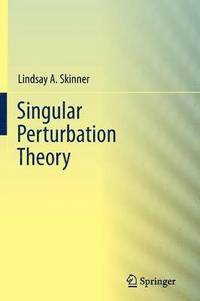 bokomslag Singular Perturbation Theory