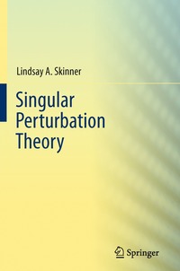 bokomslag Singular Perturbation Theory