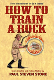 bokomslag How To Train A Rock